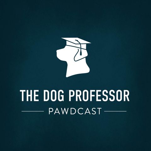Episode 24: The Dog Professor Talks Cats
