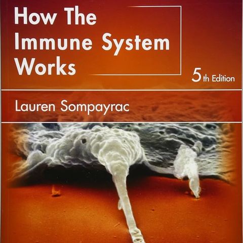 How the Immune System Works