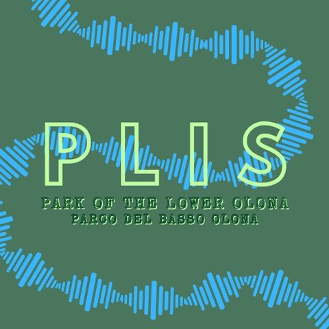 Episode 1_Introduction to the park