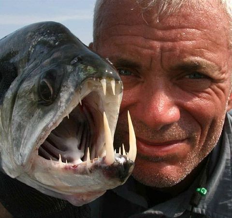 Jeremy Wade's Dark Waters