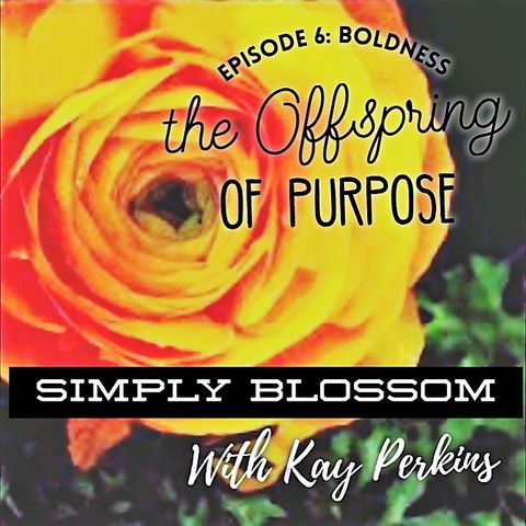 Episode 6: Boldness the Offspring of Purpose