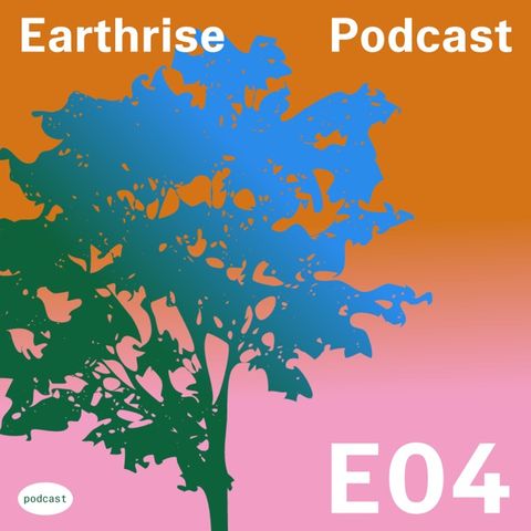 #4 Earthrise