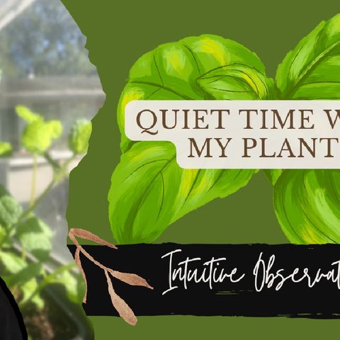 Quiet time with my plants