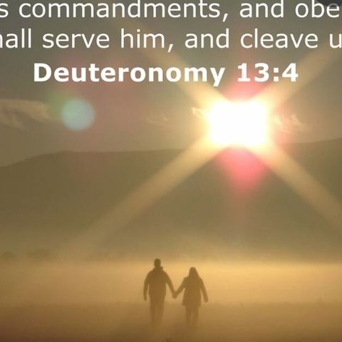 Deuteronomy chapter 14