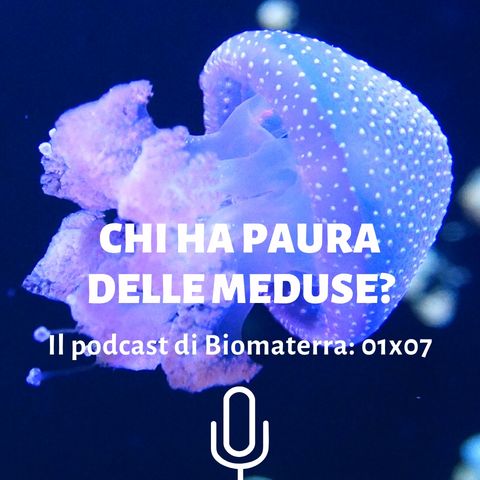 Biomaterra: podcast 1x07 - Chi ha paura delle meduse?