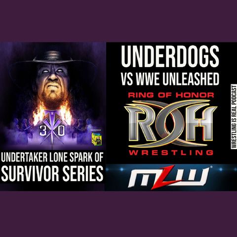 Undertaker Lone Spark of Survivor Series; Underdogs vs WWE Unleashed  KOP111220-573