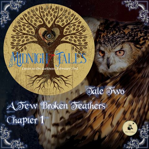 Midnight Tales - Two - A Few Broken Feathers - Chapter 1