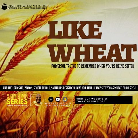 The Sunday Sermon Series | Like Wheat: 'The Promises'