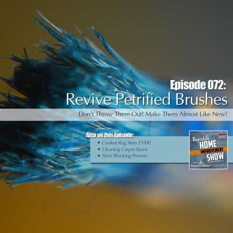 Episode 072: Cleaning Common Spills in Carpet, Paint Brushes Restored, Blocking Stains in Wood