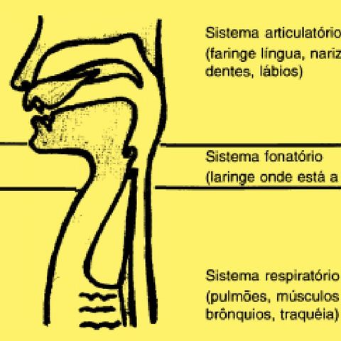 Fonética e Fonología do Português (Thaïs Cristófaro Silva. Página 24-25.