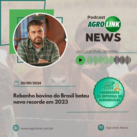 Produção de café deve cair 0,5% em 2024