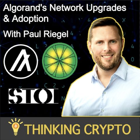 Paul Riegle Interview - Algorand's Network Upgrades - Limewire NFT Marketplace - STOI Run-DMC’s Darryl McDaniels