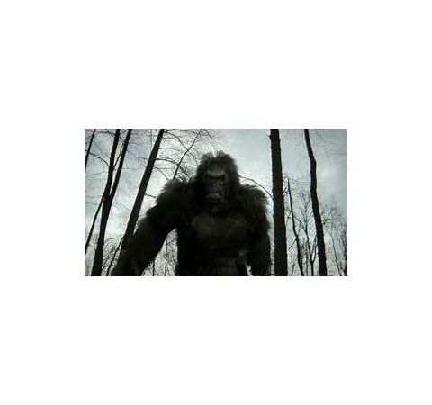 Bigfoot and Their Interdimensional Connection with guests Kewaunee and Kelly