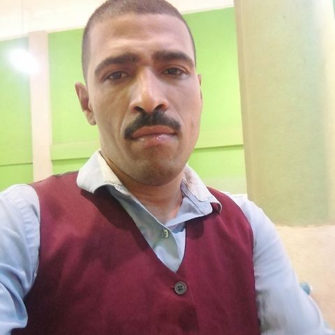 مباشر