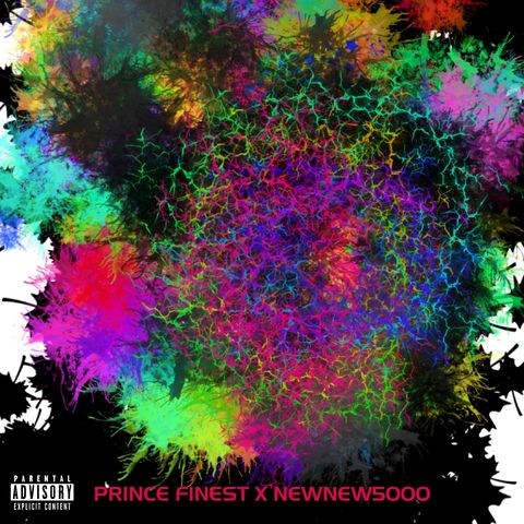 PrinceFinest x NewNew5000 - Who Said (produced by Gry)