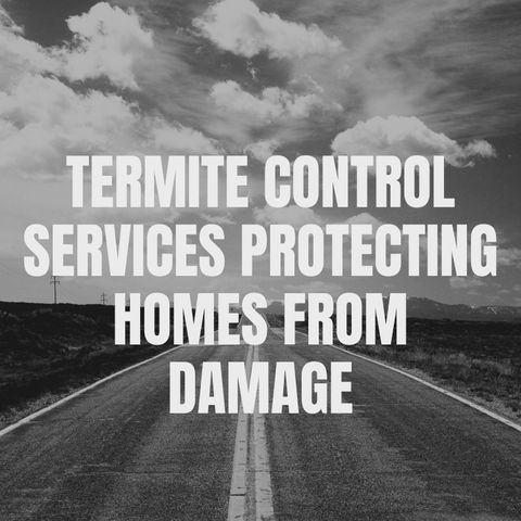 Termite Control Services Protecting Homes From Damage