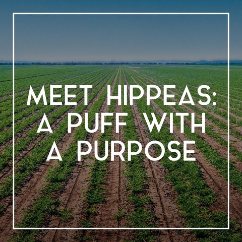 13 Meet Hippeas: A Puff With a Purpose
