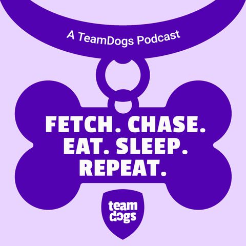 Fetch. Chase. Eat. Sleep. Repeat. - Trailer