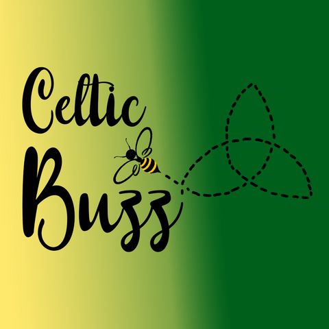 Celtic Buzz_physical school transformation