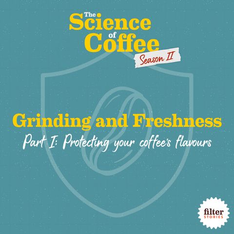 Freshness and Grinding, Part 1: Protecting your coffee's flavours