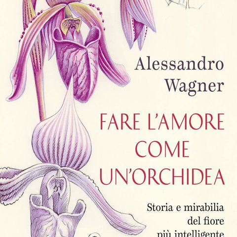 Alessandro Wagner: l’orchidea, la storia del fiore più intelligente del mondo
