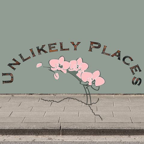 Unlikely Places - Trailer