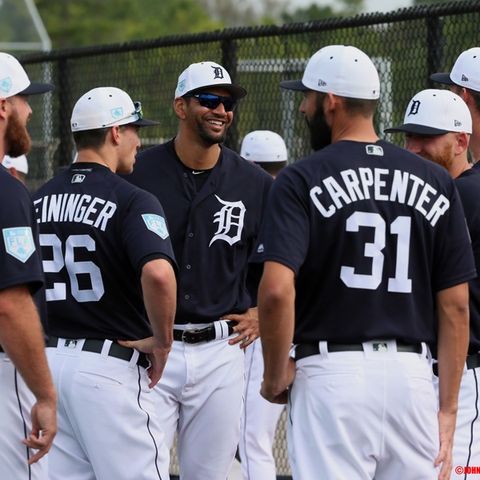 Your 2019 Detroit Tigers - "Who's THAT Tiger?"