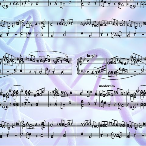 A melody of bases How scaling allows us to set new bars