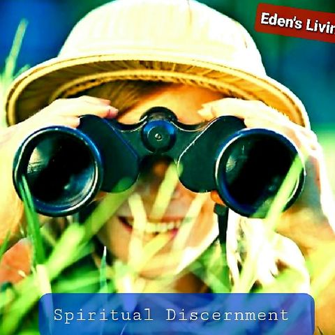 Spiritual DISCERNMENT