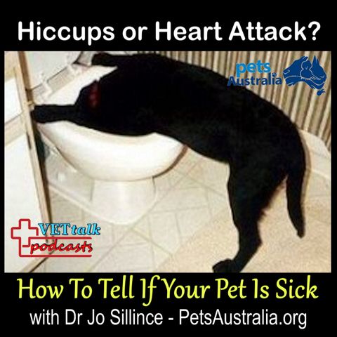 Hiccup Or Heart Attack? - Dr Jo Sillince