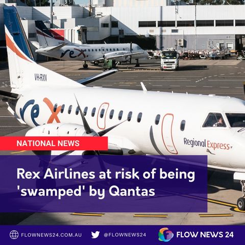 Rex 'intimidated' by Qantas, at risk of being 'swamped' on its regional route