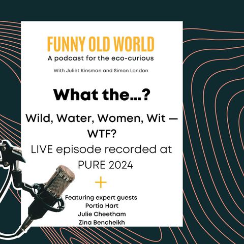 Wild, Water, Women, Wit — WTF?