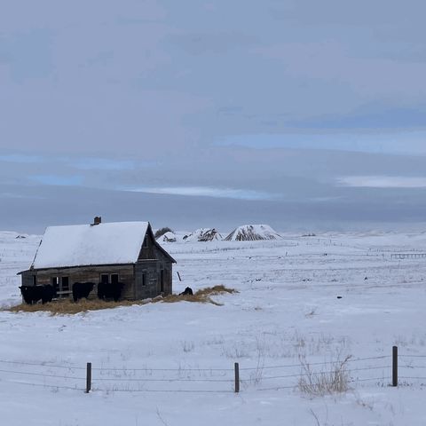 Ravenous by Jennifer Weigel