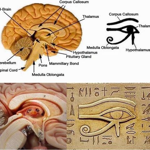 Occhio di Horus - L’Archetipo - VEDERE - Parte II [simboli e archetipi]