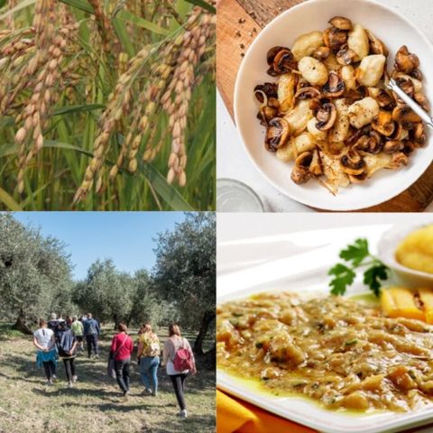 Dal riso alla camminata tra gli olivi, dalla cena d’autunno a poenta e bacalà: via al weekend