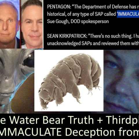 Live Chat with Paul; -210- The Water Bear Truth + UFO vids - Thirdphase Noise +Immaculate Deception