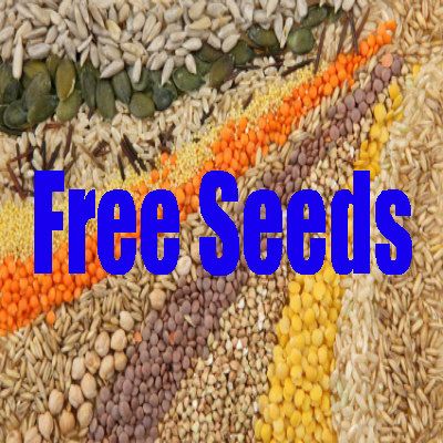 Free Seed