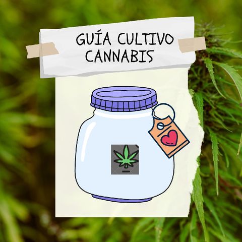 Cultiva Tu Cannabis