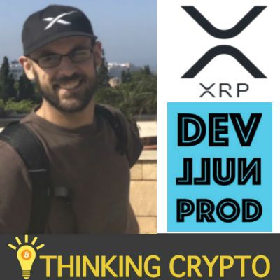 Interview: Mo Morsi CEO of Dev Null Productions - XRP Intelligence & Analytics - Ripple XRP Ledger Activity