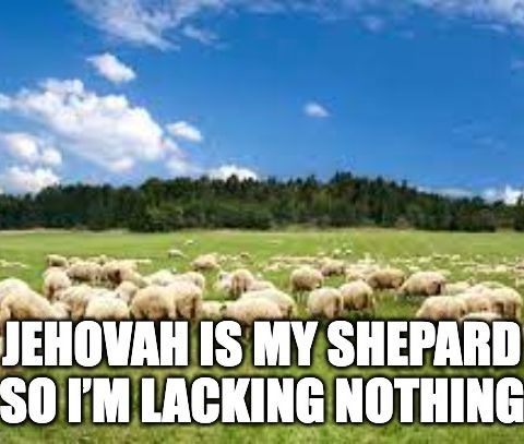 Jehovah Is My Shepard So I’m Lacking Nothing