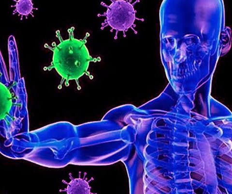 El Sistema Inmunológico: nuestra defensa contra las infecciones