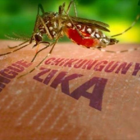 El regreso de America Latina - Zika