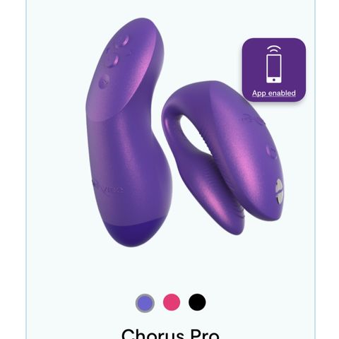 Chorus Pro