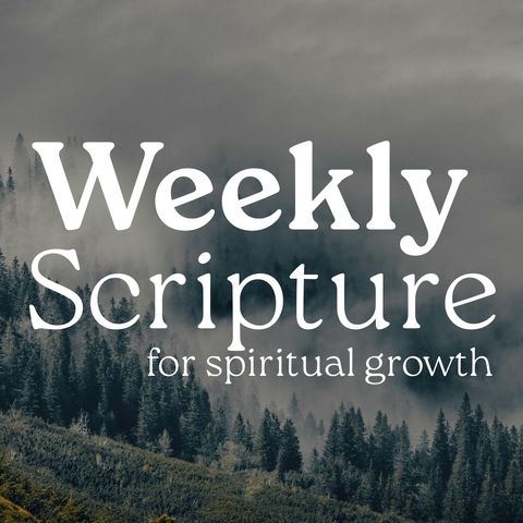 Walk the Walk - Daily Bible Verse - Colossians 2:6-7 NASB | Waytruthem.org