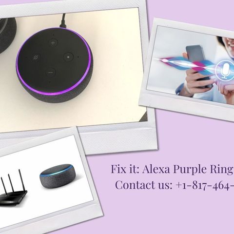 How To Fix Alexa Purple Ring Light Issues