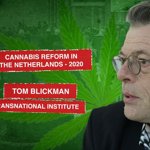 Interview with Tom Blickman - Cannabis Reform 2020