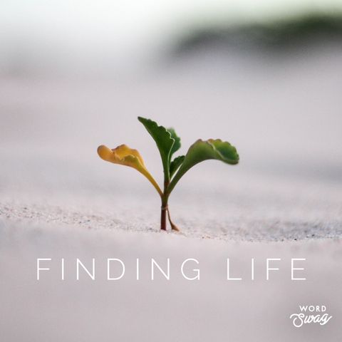 3 Tools 2.5 -- Finding Life in God's Word