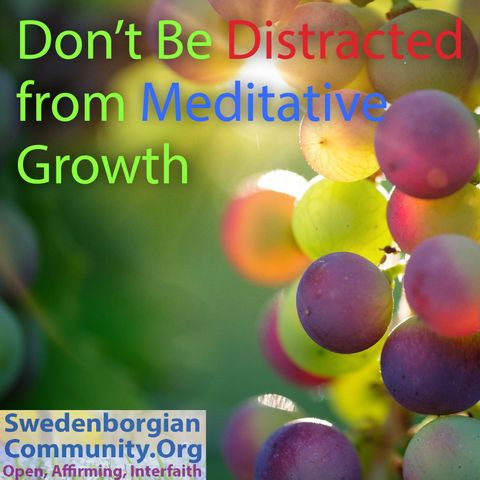 Don't Be Distracted from Meditative Growth - Interfaith-Swedenborgian Reflection with Musical Meditation