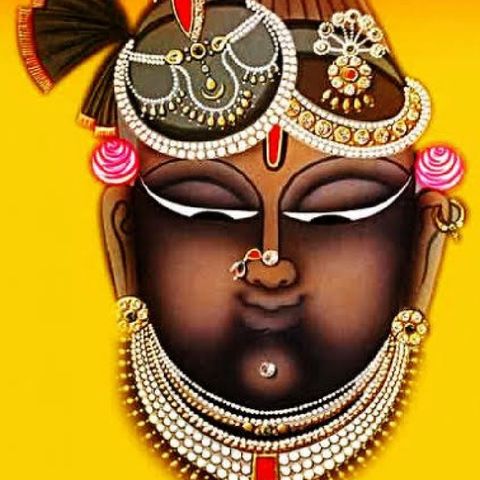 Krishna - The Lord of varieties