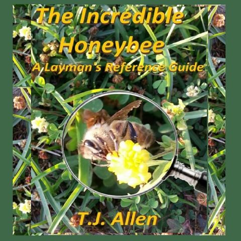 The Incredible Honeybee: Healthy Producer